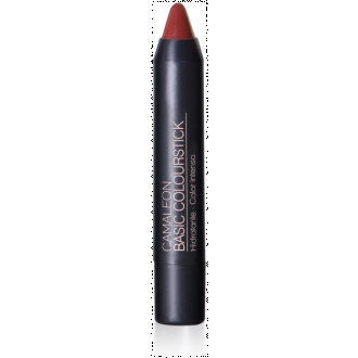 PINTALABIOS TERRA · BASIC COLOURSTICK CAMALEON